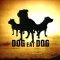 Едва ли някой не е чул, но - Dog Eat Dog идват в България