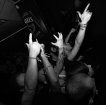Born From Pain (Холандия), B.F.D.M., Cut Off - София - The Box